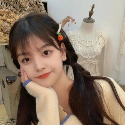 菜鸟老警第七季