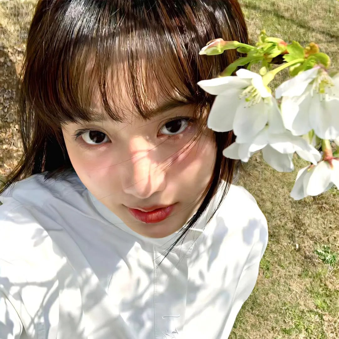 女仆的故事